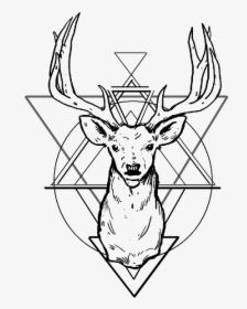 Geometric Deer Drawing, HD Png Download, Free Download
