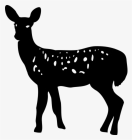 Animal, Deer, Doe, Nature, Silhouette - Doe Deer Silhouette Png, Transparent Png, Free Download