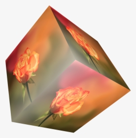 Cube Flower Rose Free Picture - Rose, HD Png Download, Free Download