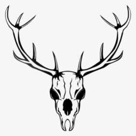 Transparent Deer Head Silhouette Png - Deer Skull Transparent Background, Png Download, Free Download