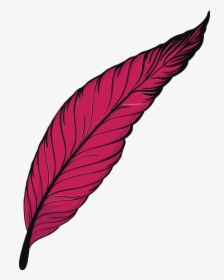 Transparent Falling Feathers Png - Pink Feather Png Png, Png Download, Free Download
