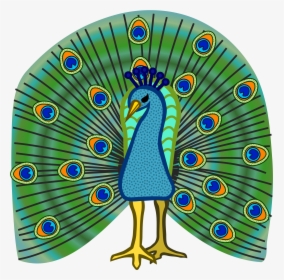 Peacock Coloured Icons Png - Coloured Picture Of Peacock, Transparent Png, Free Download