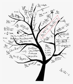 Math Tree, HD Png Download, Free Download