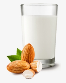 Almond , Png Download - Transparent Badam Milk Png, Png Download, Free Download