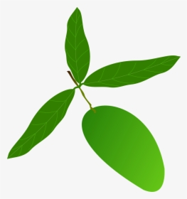 Mango Leaves Vector Png, Transparent Png, Free Download