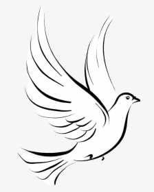 Pigeons And Doves - Visual Literacy Images Of Symbols, HD Png Download, Free Download