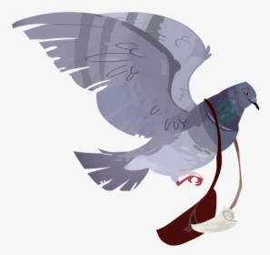 Drawn Pigeon Carrier Pigeon - Carrier Pigeon Png, Transparent Png, Free Download