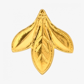 Moth, HD Png Download, Free Download