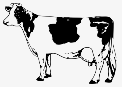 Indian Clipart Cow - Cow Clipart Black And White, HD Png Download, Free Download