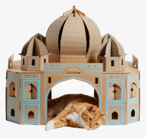 Poopy Cat Taj Mahal, HD Png Download, Free Download