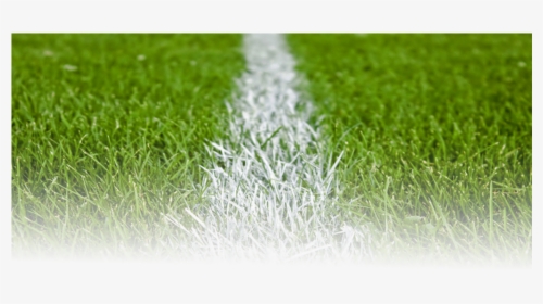 Transparent Grass Png - Football Grass Png, Png Download, Free Download