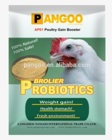 Pangoo Broiler Chicken Premix Probiotics In Feed - Chicken, HD Png Download, Free Download
