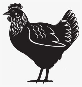 Earth First Complete Layer - Layers Chicken Black And White, HD Png Download, Free Download