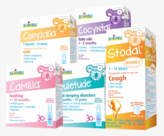 Flyer, HD Png Download, Free Download