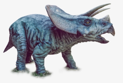 Triceratops Png - Dinosaur Triceratops Png, Transparent Png, Free Download