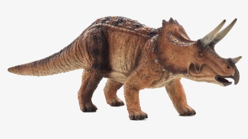 Triceratops Mojo, HD Png Download, Free Download