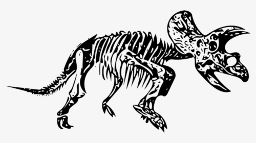 Triceratops, Dinosaur, Fossil, HD Png Download, Free Download