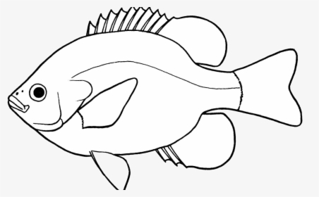 Fish Lovely Of Clipart Black And White Letter Master - Clip Art Fish Black And White, HD Png Download, Free Download