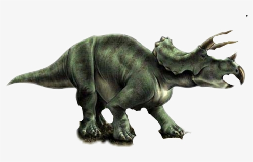 #triceratops #freetoedit - Triceratops, HD Png Download, Free Download
