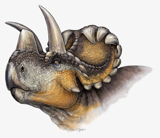 Wendiceratops Restoration - Wendiceratops Pinhornensis, HD Png Download, Free Download
