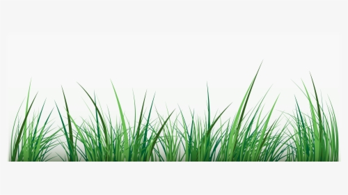 Green Clip Art - Water Grass Vector Png, Transparent Png, Free Download