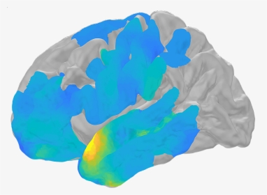 Computer-generated Brain Scan - Neural Oscillation, HD Png Download, Free Download