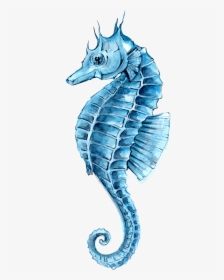 Hippocampus Seahorse Watercolor Green Painting Drawing - Drawing Art Sea Horse, HD Png Download, Free Download