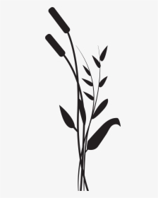 Silhouette Drawing Photography Clip Art - Plant Silhouette Transparent, HD Png Download, Free Download