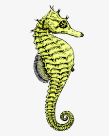 Seahorse Png - Black And White Seahorse, Transparent Png, Free Download