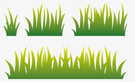 Lawn Euclidean Vector - Vector Of Paddy Field, HD Png Download, Free Download