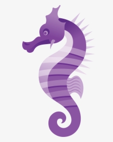 Seahorse Png - Seahorse Icon, Transparent Png, Free Download