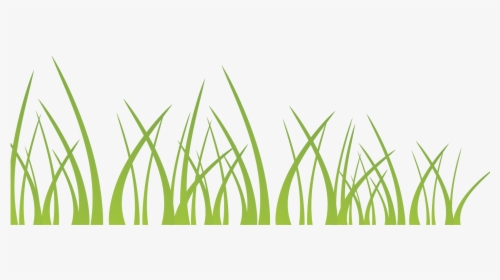 Vector Green Grass Decoration Illustration Background, HD Png Download, Free Download