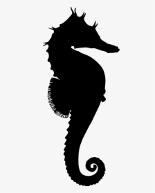 Seahorse Png - Seahorse Clipart Silhouette, Transparent Png, Free Download