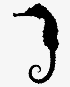 Transparent Seahorse Png For Free - Northern Seahorse, Png Download, Free Download