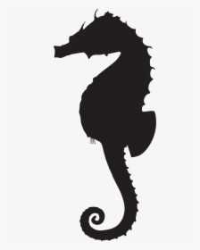Clipart - Silhouettes - Simple - Starfish - Black And - Silhouette Seahorse Clipart Png, Transparent Png, Free Download