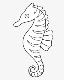 Drawing Seahorse Creative - Cute Seahorse Clipart Black And White, HD Png Download, Free Download