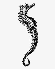Seahorse Pair For Tattoos, HD Png Download, Free Download