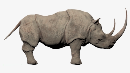 Rhino Png Free Pic - Conan Exiles White Rhino, Transparent Png, Free Download