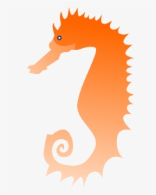 Transparent Sea Horse Clipart - Illustration, HD Png Download, Free Download