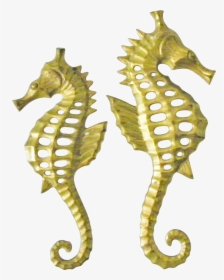 Seahorse , Png Download - Hippocampus Bleekeri, Transparent Png, Free Download
