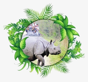 Jungle Clipart Rhino - Molduras Redondas Com Folhas Verdes, HD Png Download, Free Download