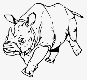 Rhinoceros Line Art Drawing Clip Art - Head Rhino Silhouette, HD Png Download, Free Download