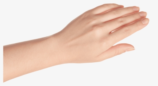 Human Female Womans Left Hand, HD Png Download, Free Download