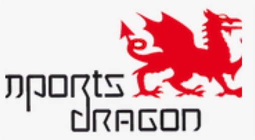 Imports Dragon Logo - Imports Dragon, HD Png Download, Free Download