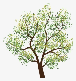 Transparent Background Tree Clipart, HD Png Download, Free Download
