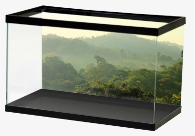 Specialty Jungletreeline - Vinyl For Fish Tank, HD Png Download, Free Download