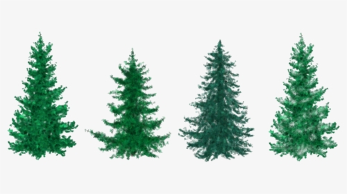 Fir Christmas Tree Clipart, HD Png Download, Free Download