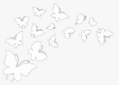 Butterflies Butterfly Overlay Iconoverlay Icon Overlays - Picsart Butterfly Overlays, HD Png Download, Free Download