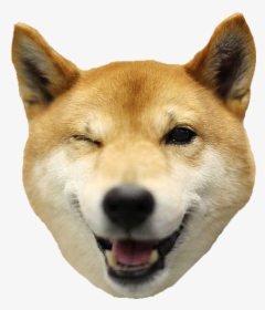 Shiba Dog"s Head Messages Sticker-5 - Shiba Inu Thank You, HD Png Download, Free Download