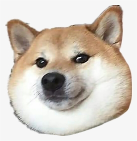 Shiba Inu Doge Dogecoin Free Transparent Image Hd Clipart - Doge Meme ...